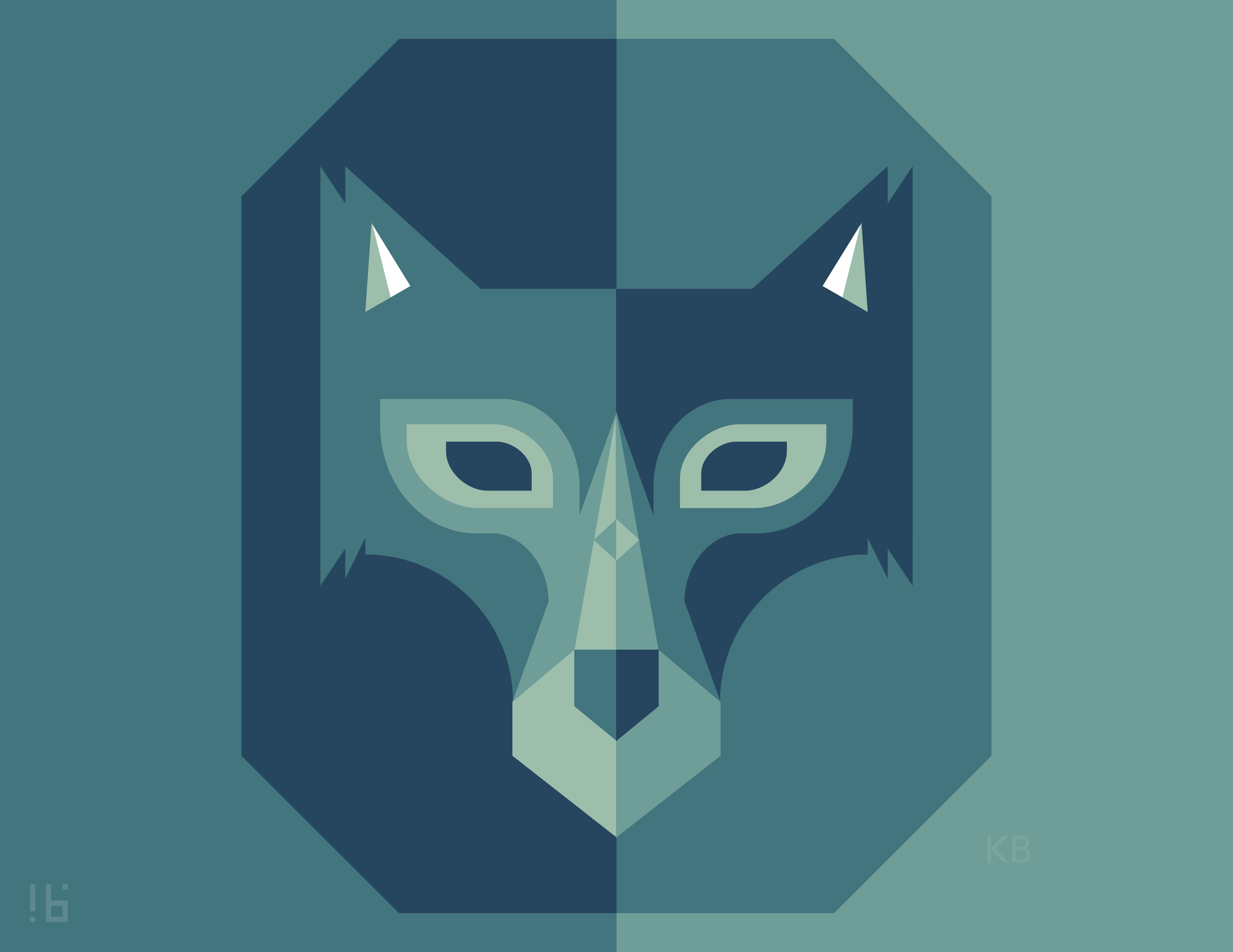 Full resolution image of Fox